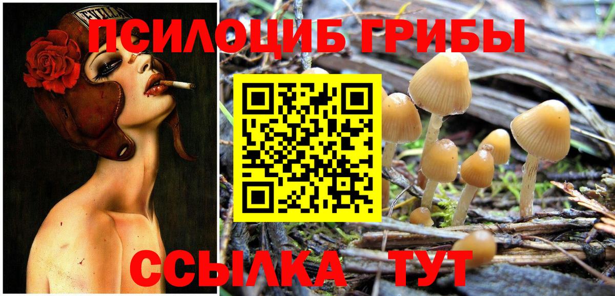 Урай  Галлюциногенные грибы Cubensis  Вход с VPN 
